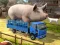 Driver Master Simulator — free online game