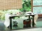 Japanese Food — free online game