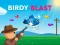 Birdy Blast — permainan dalam talian percuma