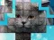 PicPu Cat — free online game