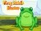 Frog Match Master — free online game