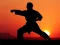 Karate Sunset Warriors — free online game