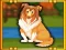 Bernese Mountain Dog Escape — free online game