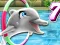 My Dolphin Show 7 — free online game