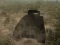 Tank Battle — free online game