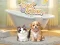 Pet Salon — безкоштовна онлайн гра