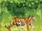 Angry Tiger Coloring — free online game