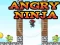 Angry Ninja — free online game