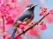 Lovable Birds — free online game