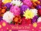 2019 Mother's Day Puzzle — free online game