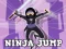 Ninja Jump — free online game