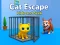 Cat Escape Hide and Seek — free online game