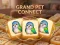 Xogo Grand Pet Connect en liña