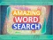 Amazing Word Search — free online game