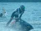 Power Boat Racing 3D — free online game