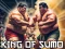 King Of Sumo the ultimate brawl — free online game