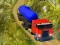 Indian Cargo Truck Simulator — free online game