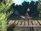 游戏Bike Trial Xtreme Forest在线