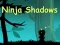 Ninja Shadows — free online game