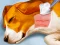 Dog Hospital — free online game