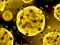 Coronavirus Slide — free online game