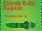 Snake Eats Apples — free online game