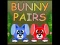 Bunny Pairs — free online game