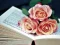 Book of Blooms Jigsaw – tasuta veebimäng