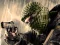 Terrorist Shootout — free online game