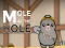 Mole in the Hole — free online game