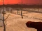 Wasteland Shooters — free online game