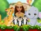 Moana Cute Zoo — free online game