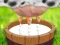 Milk The Cow — free online game