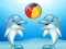 Dolphin Show — free online game