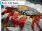 Logħba Beach Crab Jigsaw onlajn