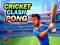 Cricket Clash Pong — free online game