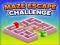Maze Escape Challenge — free online game