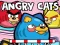 Angry Cats — free online game