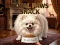 Royal Paws Snack — безплатна онлайн игра
