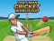 Игра Last Man Cricket World Cup онлайн