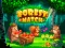 Forest Match