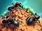 Ant Colony — free online game