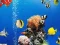 Sea Underwater Difference — free online game