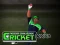 Cricket Fielder Challenge — free online game