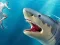 Shark Hunting — free online game