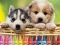 4GameGround Puppy Coloring — free online game