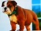 Bulldog Puppy Puzzle — free online game