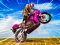 Crazy Wheelie Motorider — free online game