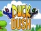 Duck Dash — free online game