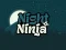 Night Ninja — free online game